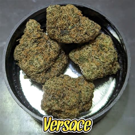 versace strain.